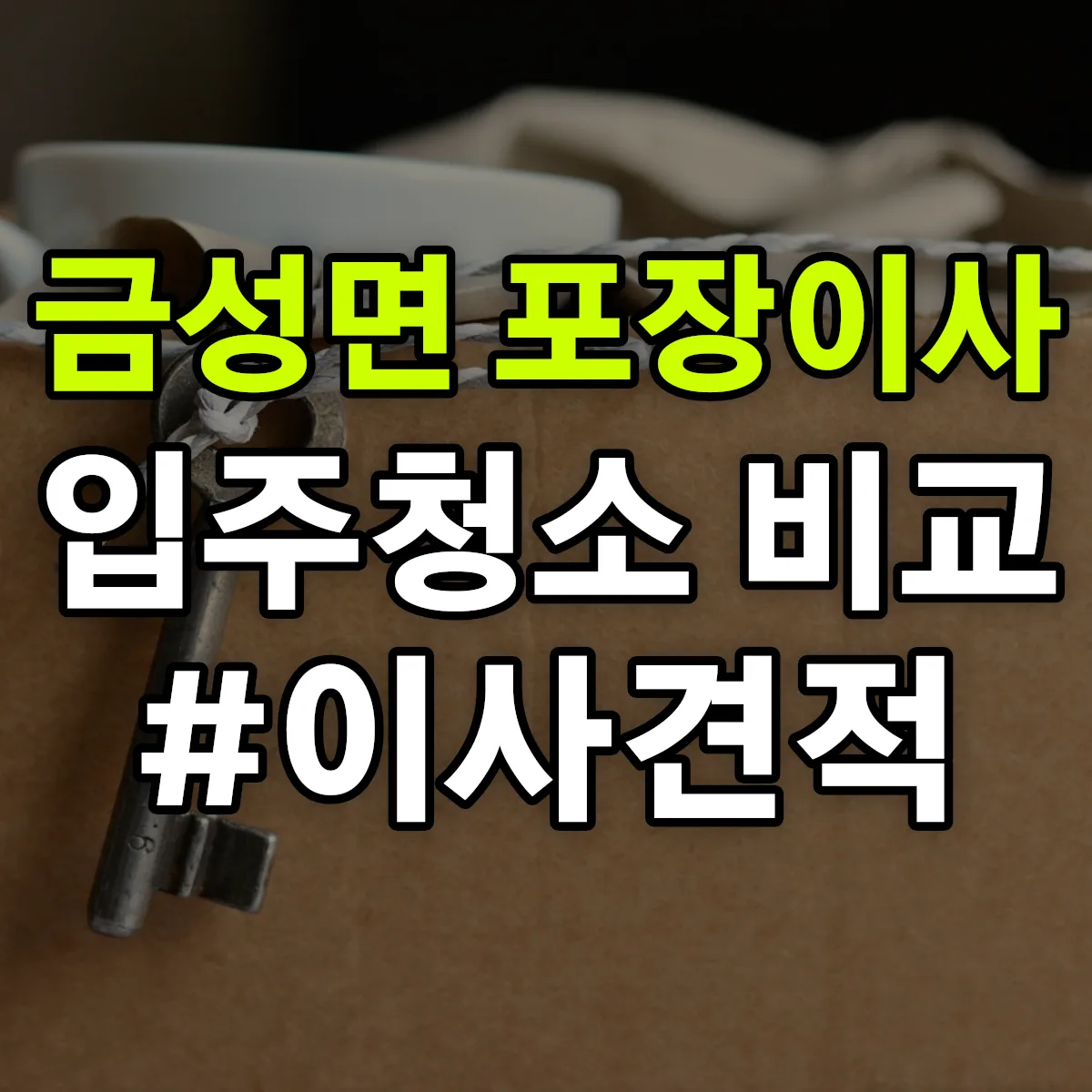 경상남도 하동군 금성면 포장이사·입주청소 비교견적 안내