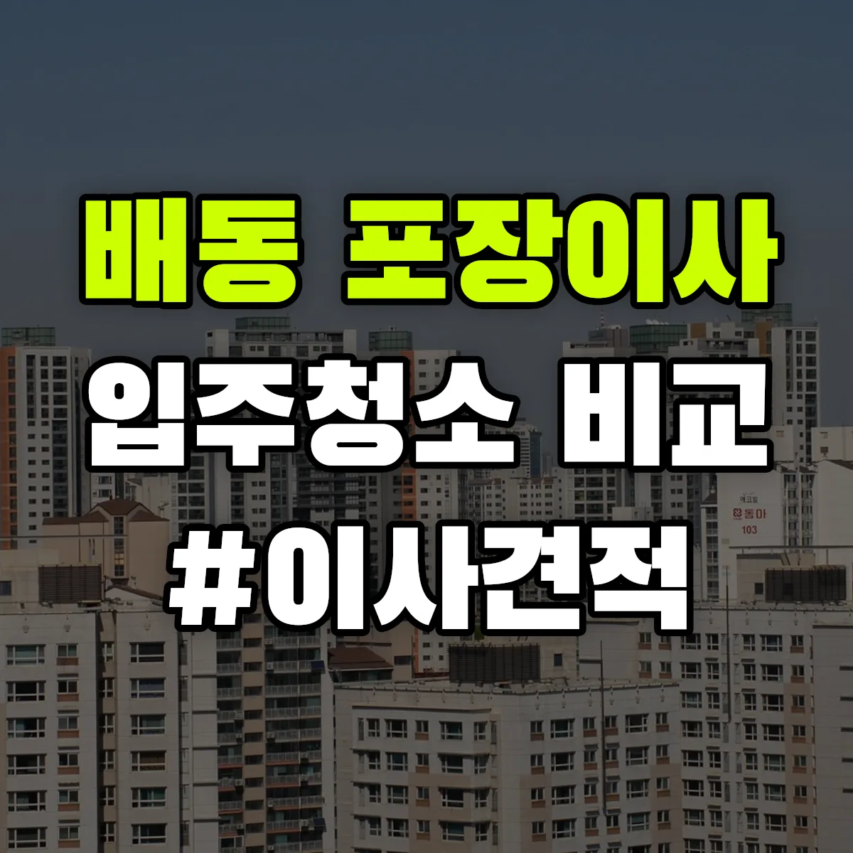 경상북도 경주시 배동 포장이사·입주청소 비교견적 안내