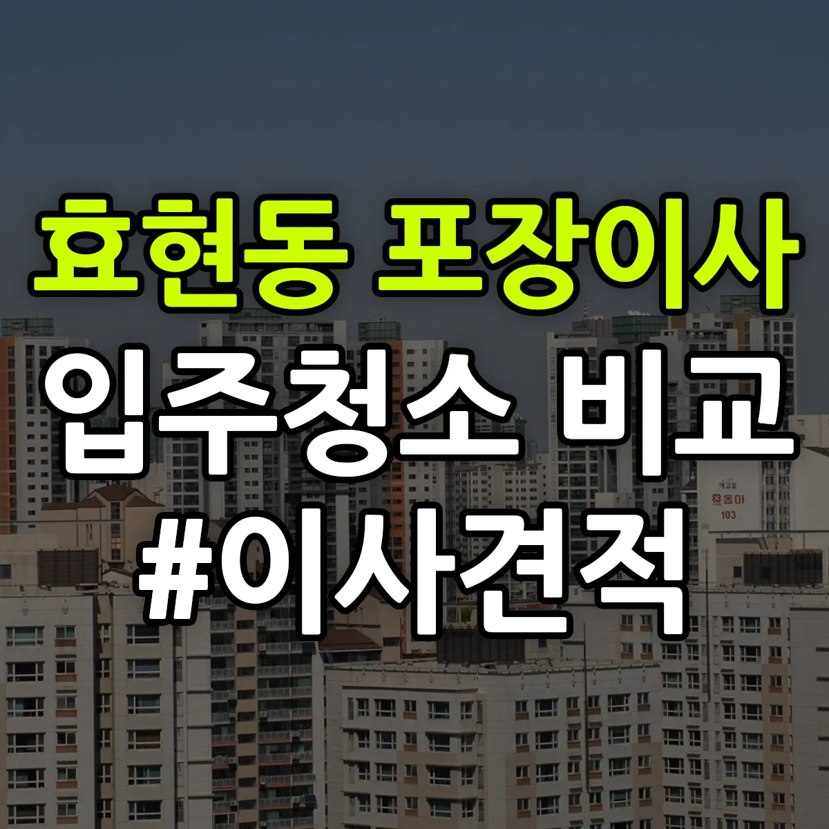 경상북도 경주시 효현동 포장이사·입주청소 비교견적 안내