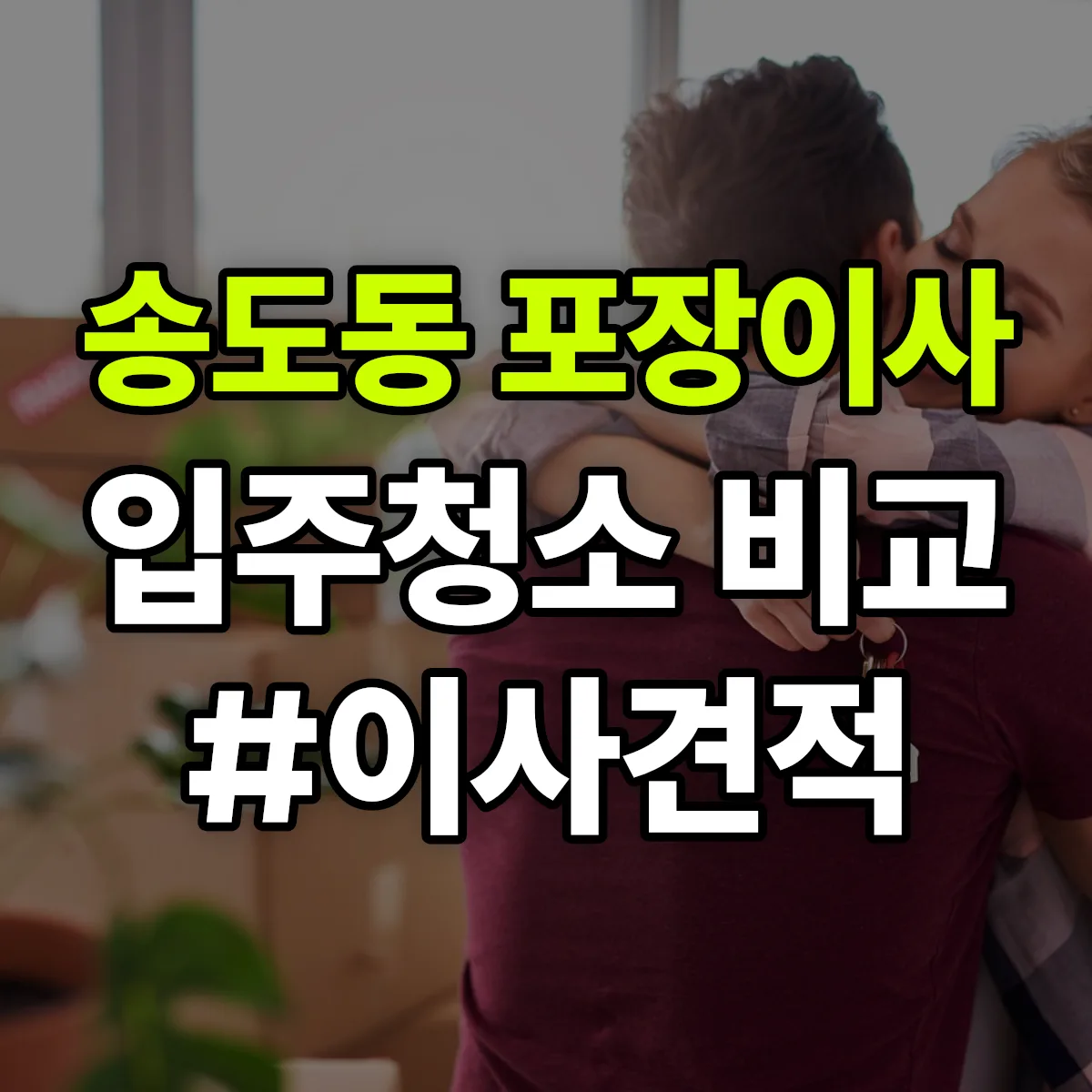 경상북도 포항시 남구 송도동 포장이사·입주청소 비교견적 안내