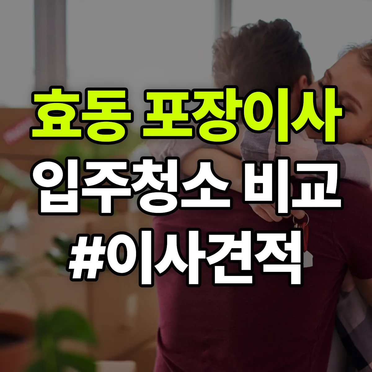 대전광역시 동구 효동 포장이사·입주청소 비교견적 안내