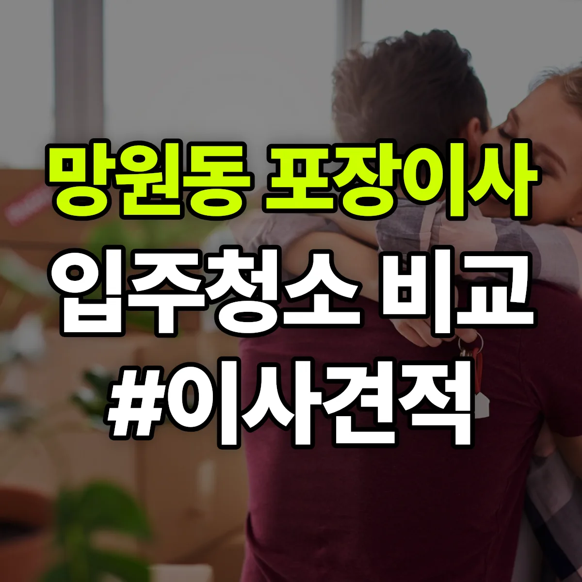 서울특별시 마포구 망원동 포장이사·입주청소 비교견적 안내