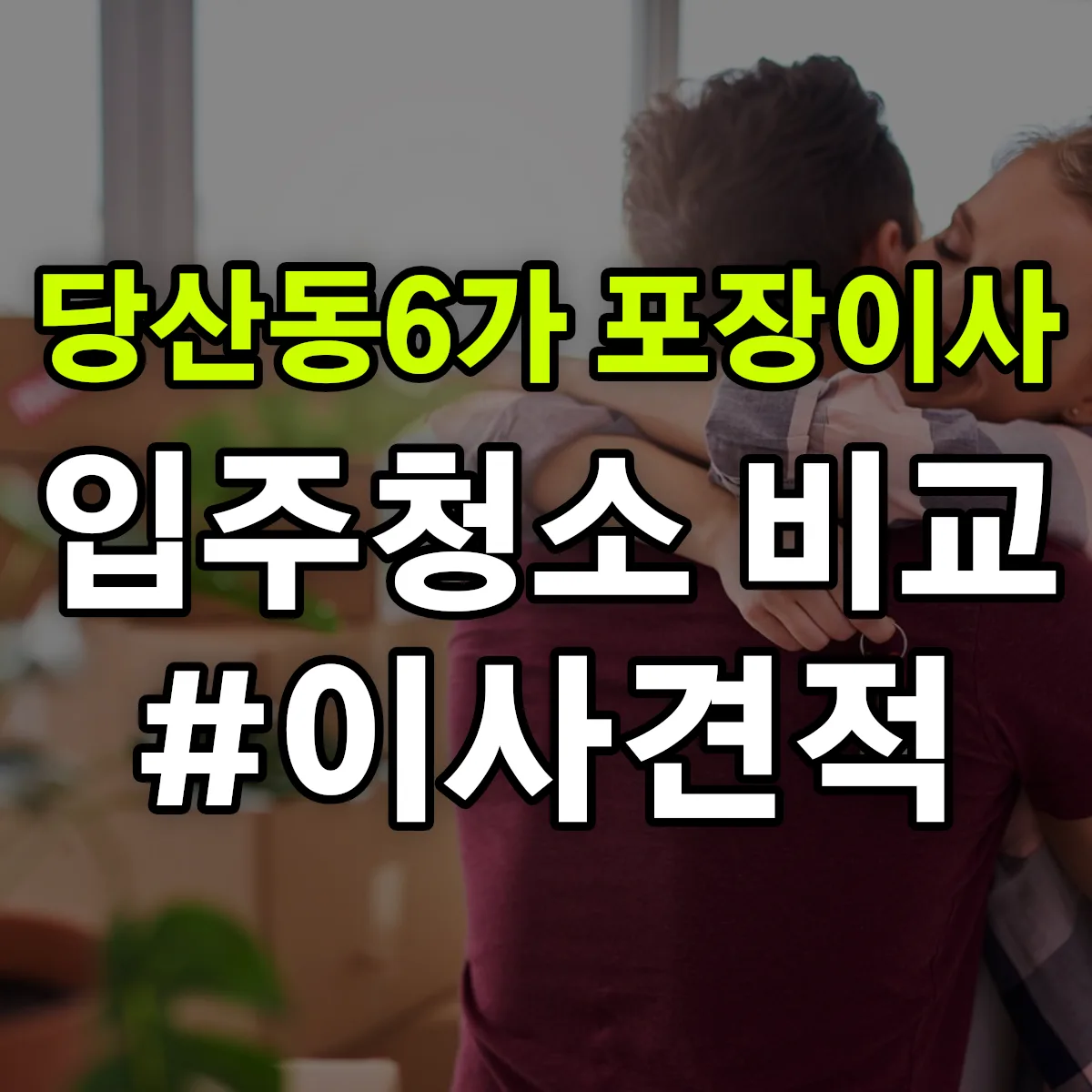 서울특별시 영등포구 당산동6가 포장이사·입주청소 비교견적 안내