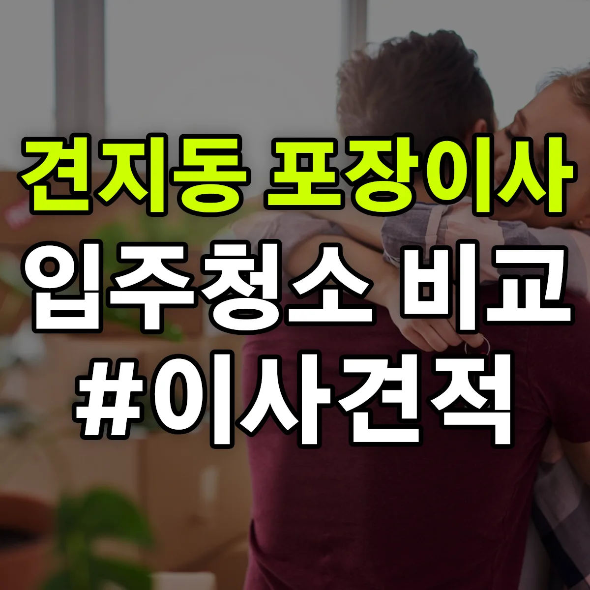 서울특별시 종로구 견지동 포장이사·입주청소 비교견적 안내