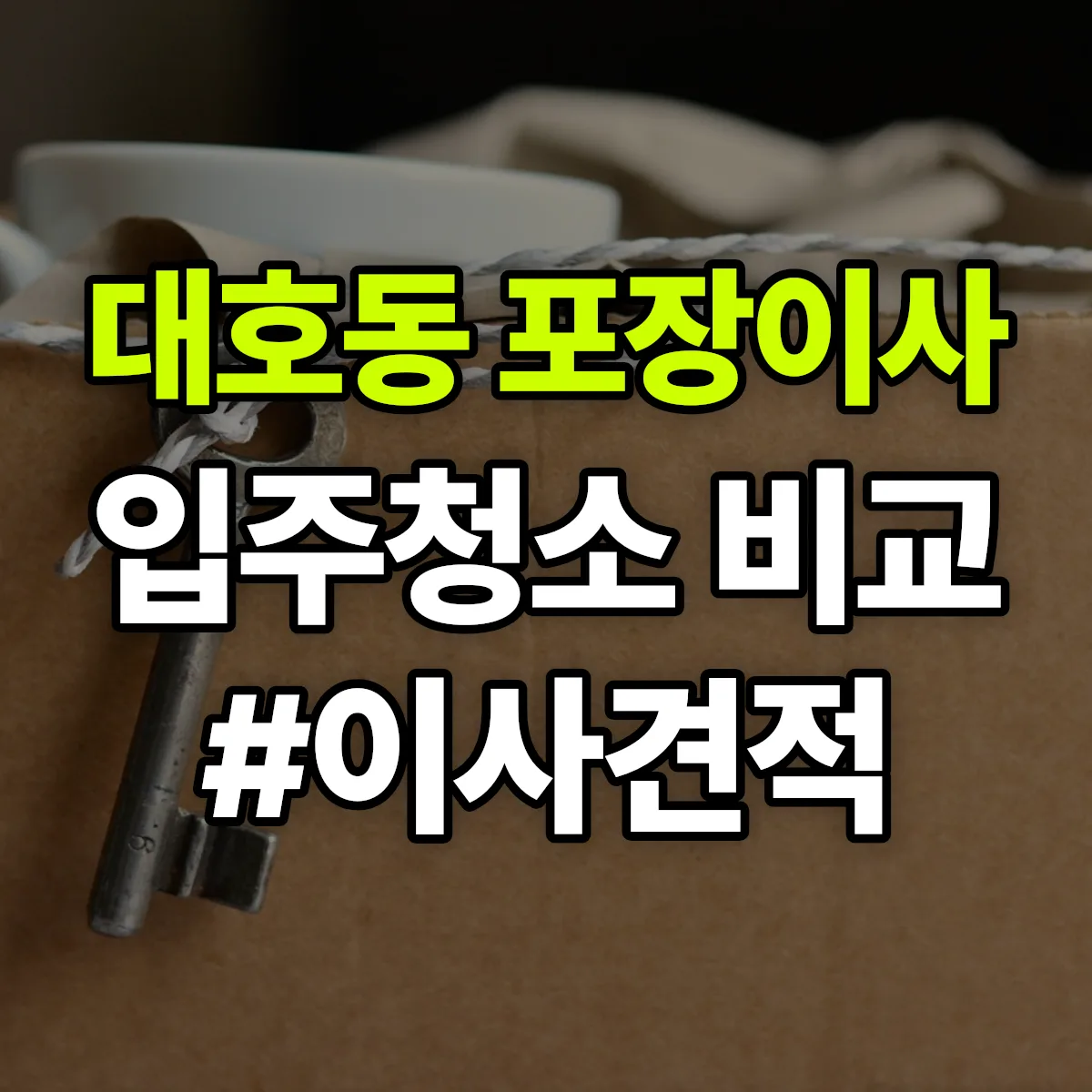전라남도 나주시 대호동 포장이사·입주청소 비교견적 안내