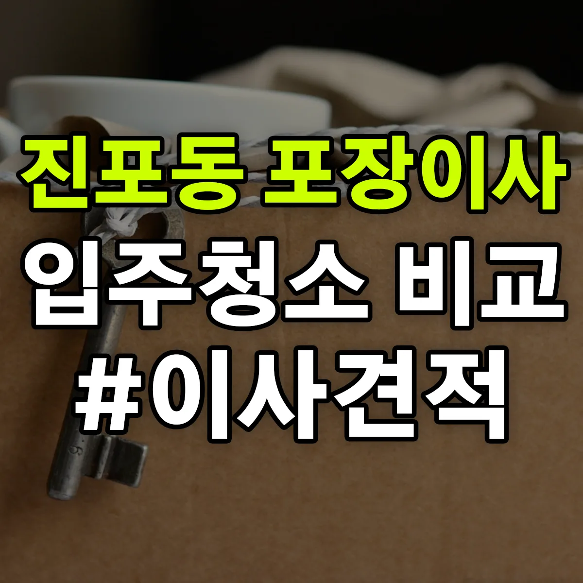 전라남도 나주시 진포동 포장이사·입주청소 비교견적 안내
