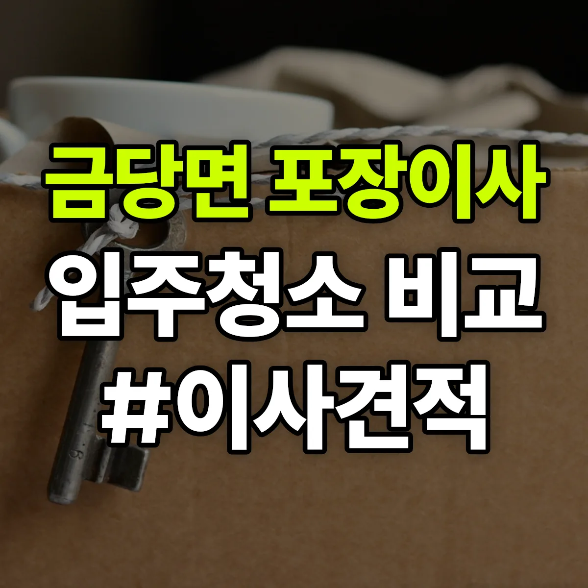 전라남도 완도군 금당면 포장이사·입주청소 비교견적 안내